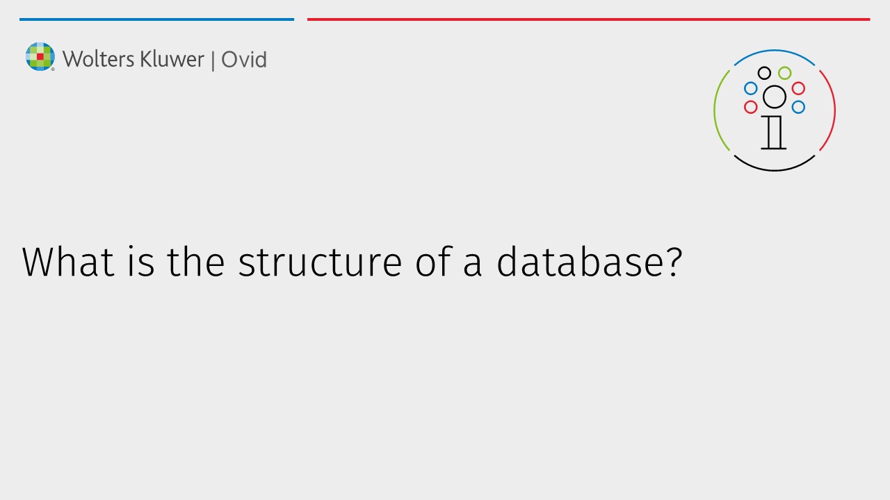 What is the structure of a database?